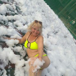 ����, ������, 41 ���