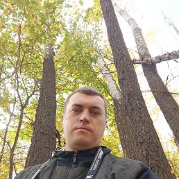 , 33, 