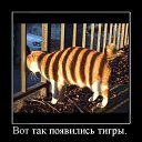    , -, 72  -  7  2025   »