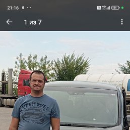 �������, 44 ����, ������