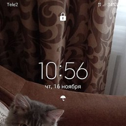 �����, ������, 52 ����