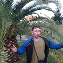 ���� ����������, �����-���������, 38 ��� - ��������� 26 ������ 2026 � ������ ���� ����������