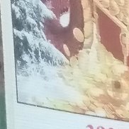 �����, 43 ����, ������