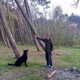 ����, 59 ���, �����������