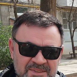 , 61, 