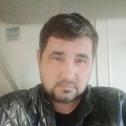 , 41, 
