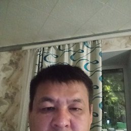 , 44, 