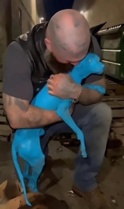 :) ....  ,     ,   .....   ...