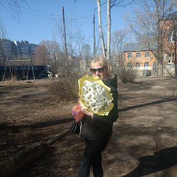 , 37, 
