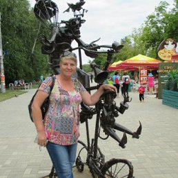 , 66, 