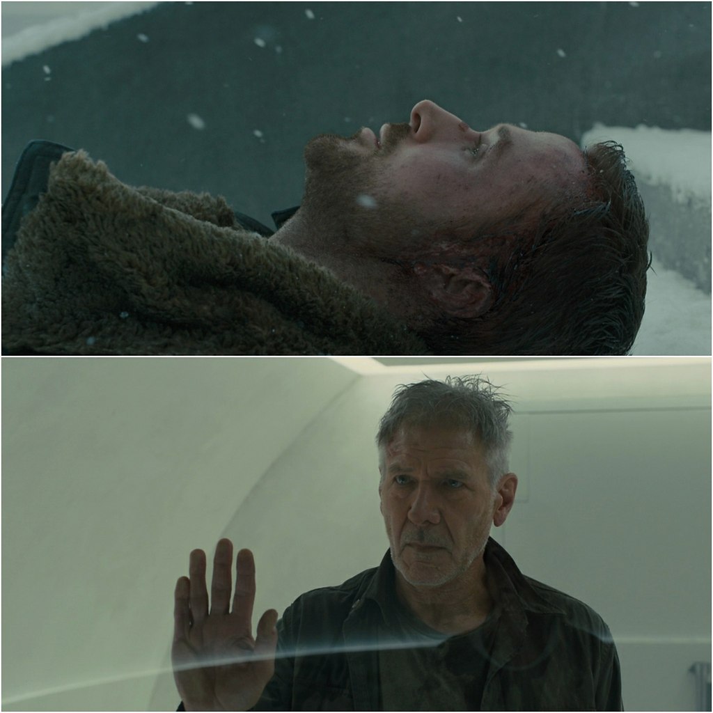    2049 / Blade Runner 2049 (2017).:  :   - 10