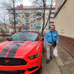 ����� �������, ������, 54 ����