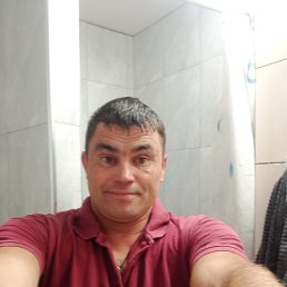 , 41 , 