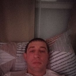 ������, 38 ���, ��������