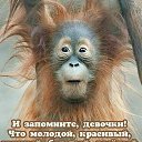 ���� ������, ������� - ��������� 10 ���� 2026 � ������ ���� ����������