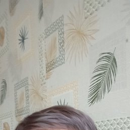 , 54, 