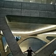 , 50 , 
