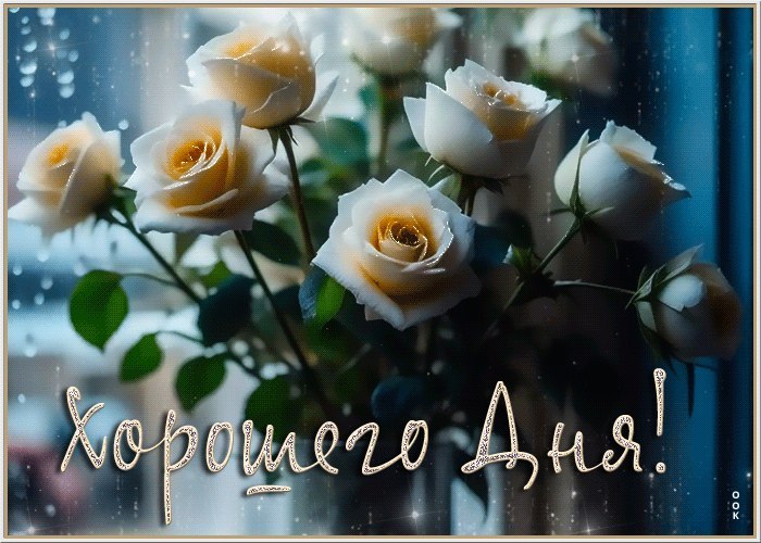   - 23  2024  13:22