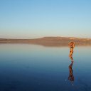  , -, 49  -  13  2024    