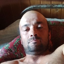 , 37, 