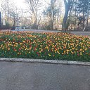 ���� ��������, �����������, 55 ��� - ��������� 20 ������ 2026 � ������ �������