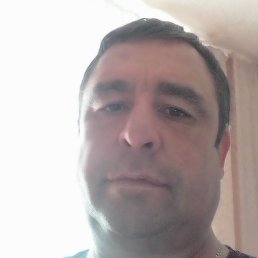 , , 46 