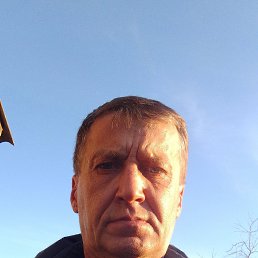 , 50, 