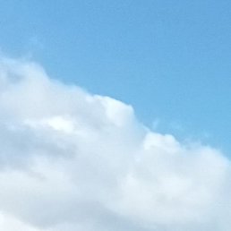 �����, ������, 44 ����