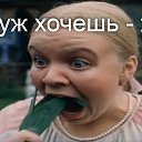  ,,,,  -  13  2025