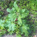 ���� ���������, �������� - ��������� 22 ������� 2025 � ������ �����