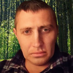 ������, ����������, 65 ���