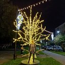  Irina, , 47  -  13  2025    