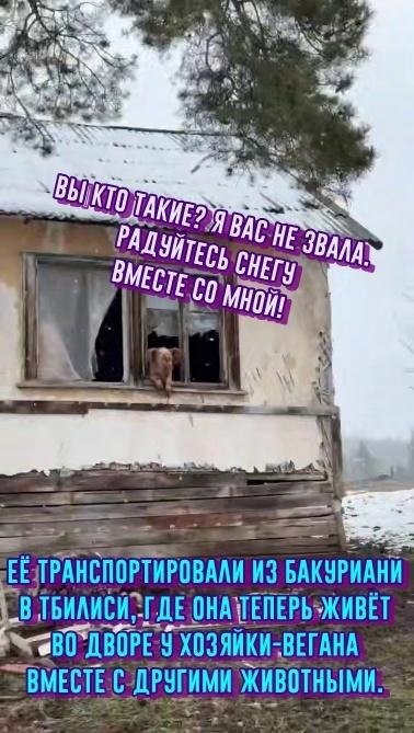 acy cy pyy, oopa caa eo pycoo eo, e oa paoco paa  ecee ... - 3