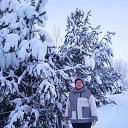 ���� �������, �����, 62 ���� - ��������� 2 ������ 2026 � ������ ���� ����������