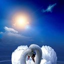 ���� �����, ������, 66 ��� - ��������� 8 ������ 2024 � ������ ������ ��������