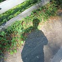 ���� ���������, ������, 42 ���� - ��������� 3 ������� 2024 � ������ ���� ����������