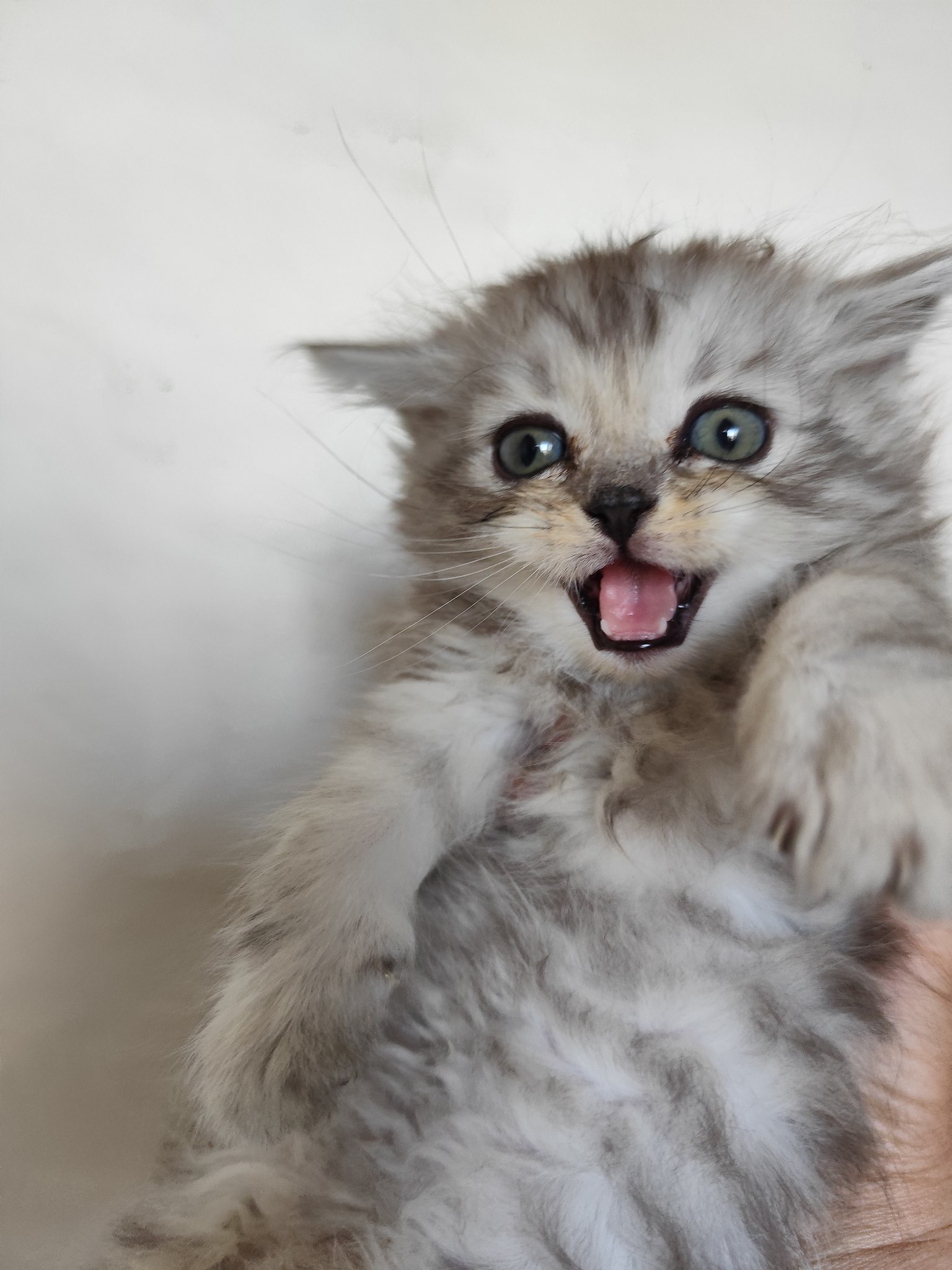 ����� - 15 ������ 2025 � 11:04