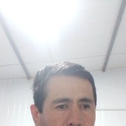 , 45, 