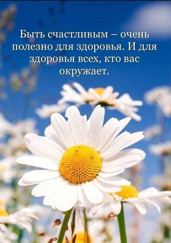  - 6  2025  06:17
