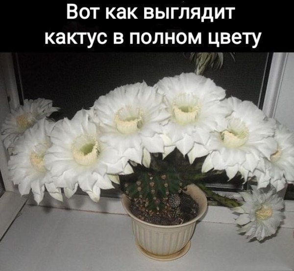  - 27  2025  19:00