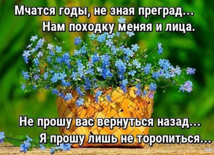  - 8  2025  10:44