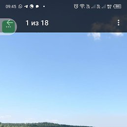 , 33, -