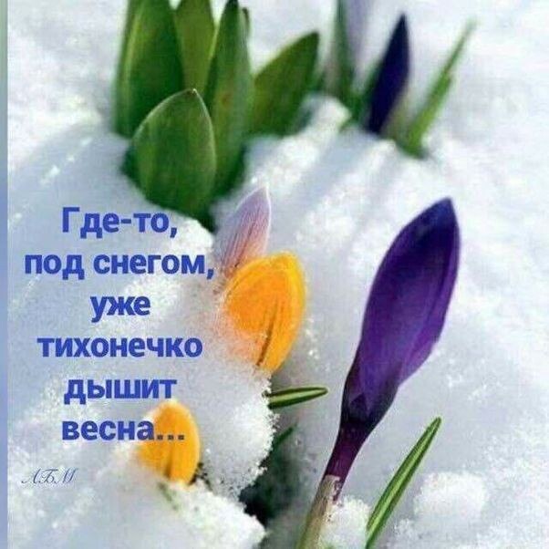  - 19  2025  13:18