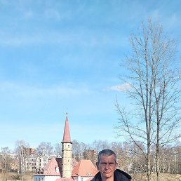 ����, ������, 50 ���