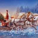 ���� ���������, ���������, 55 ��� - ��������� 31 ������� 2025 � ������ ������ ��������