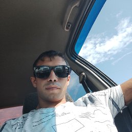 , 29, 