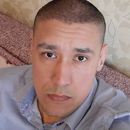 �����, ���������, 41 ���