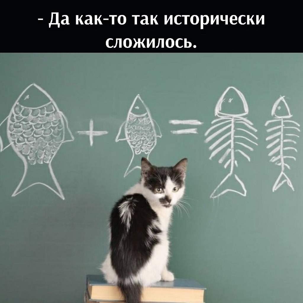       - 11  2025  11:01 - 4