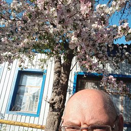 , 48, 