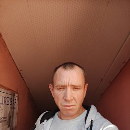 , 41, 